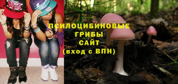 кокс Баксан