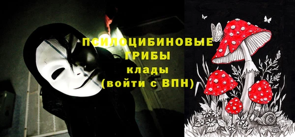кокс Баксан