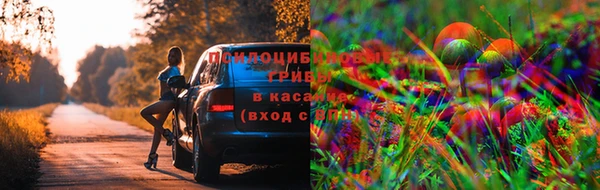 дурь Балахна